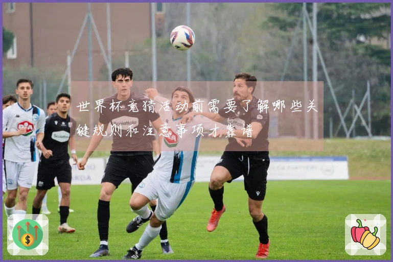 世界杯竞猜活动前需要了解哪些关键规则和注意事项才靠谱
