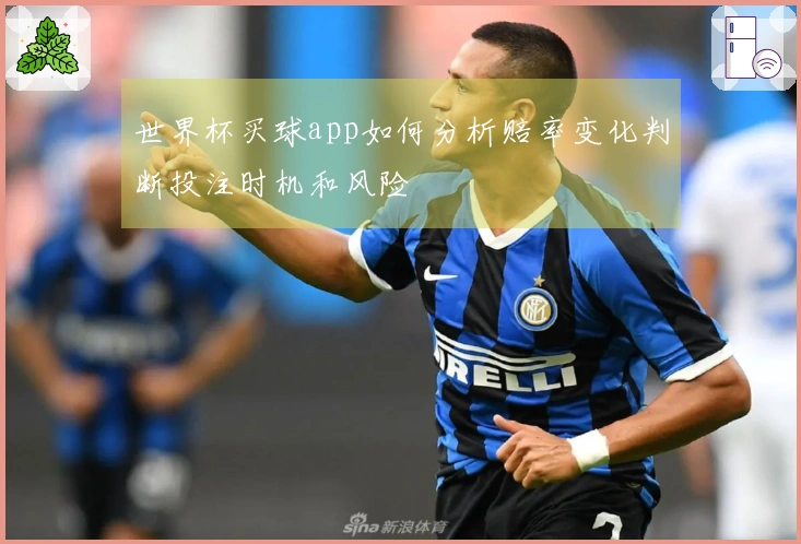 世界杯买球app如何分析赔率变化判断投注时机和风险
