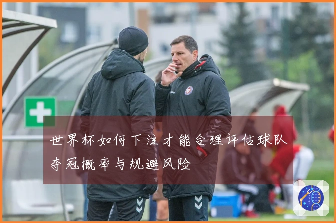 世界杯如何下注才能合理评估球队夺冠概率与规避风险