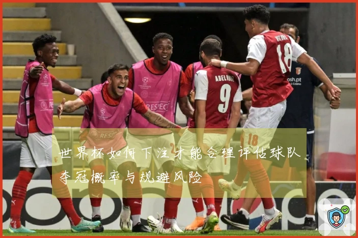 世界杯如何下注才能合理评估球队夺冠概率与规避风险
