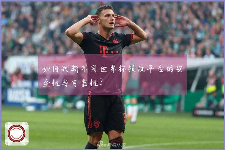 如何判断不同世界杯投注平台的安全性与可靠性？