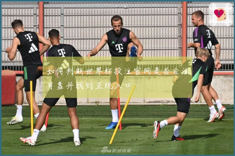如何判断世界杯投注官网是否合法可靠并找到正规入口