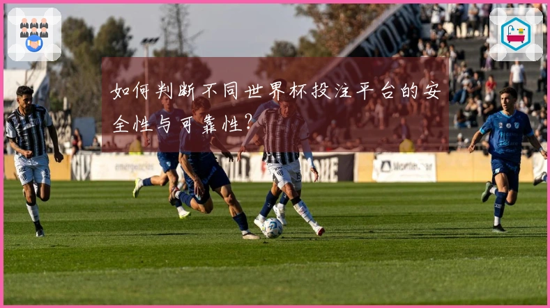 如何判断不同世界杯投注平台的安全性与可靠性？