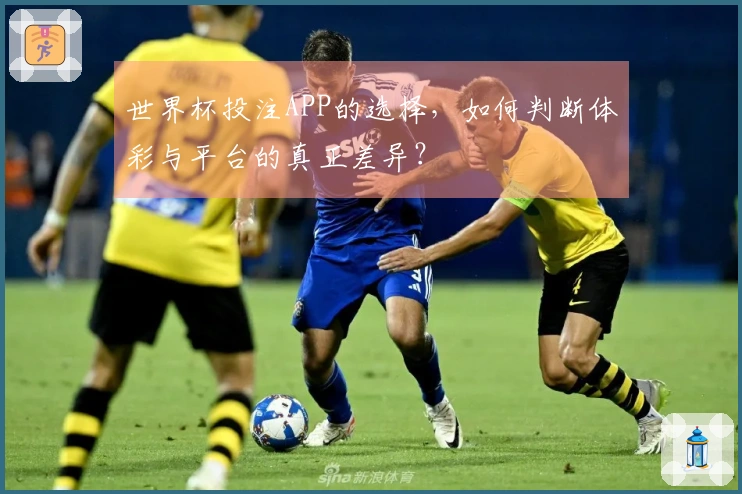 世界杯投注APP的选择，如何判断体彩与平台的真正差异？